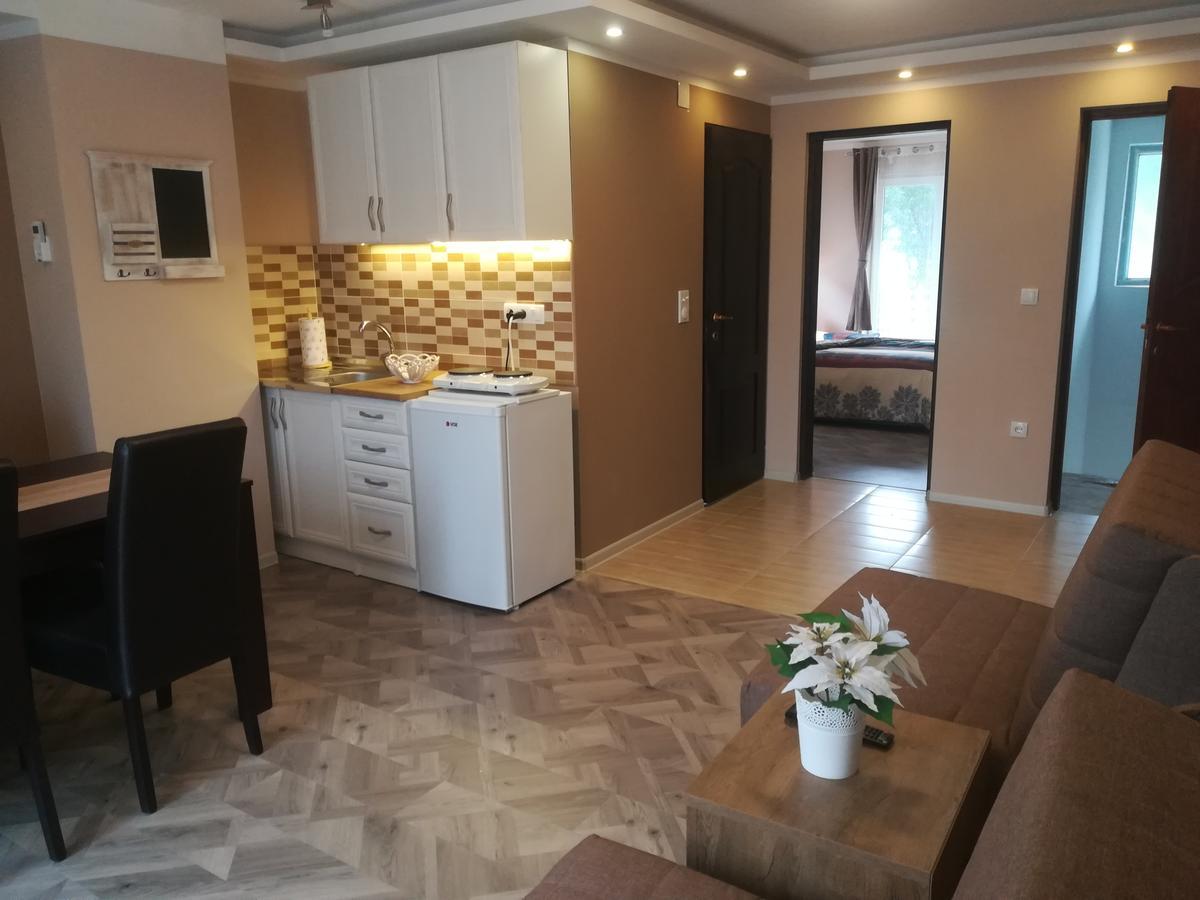 Apartman Bogic Golubac Εξωτερικό φωτογραφία