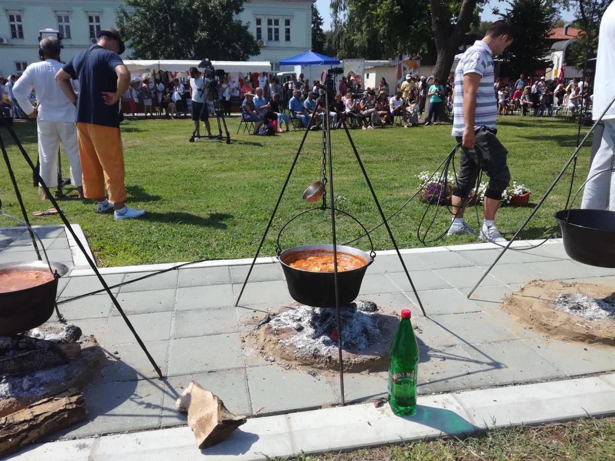 Apartman Bogic Golubac Εξωτερικό φωτογραφία